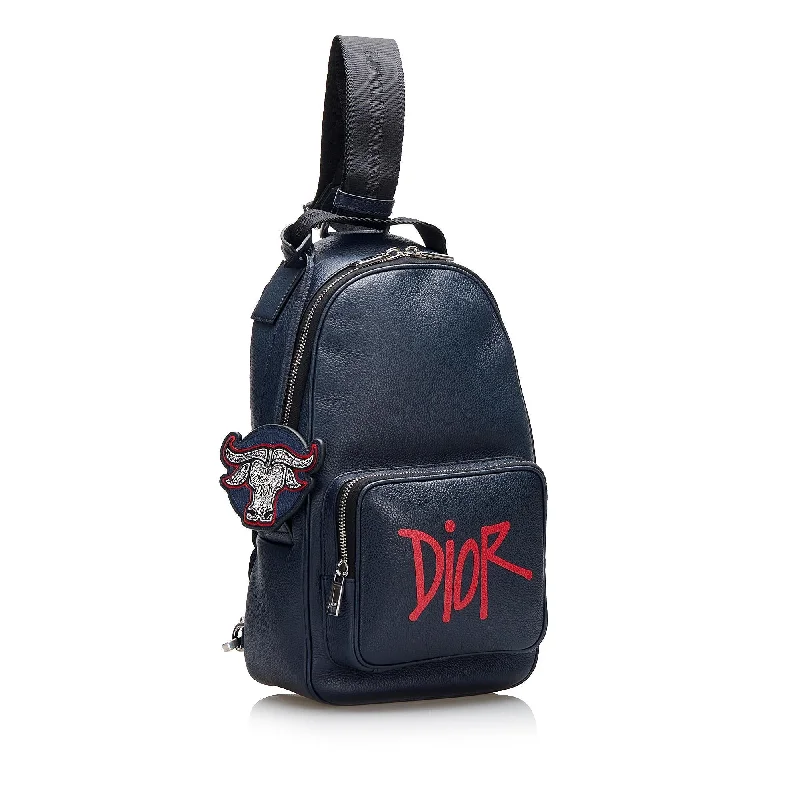 Trendsetting Christian Dior crossbody bags with a colorful strapDior Dior x Shawn Stussy Year of the Ox Sling (14wGt5)